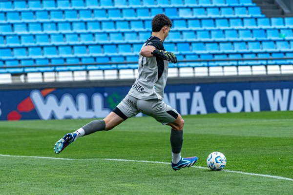 Wie findet man das passende Haustier fÃ¼r den eigenen Lebensstil?
